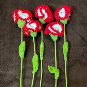 Carnations (Set of 5)